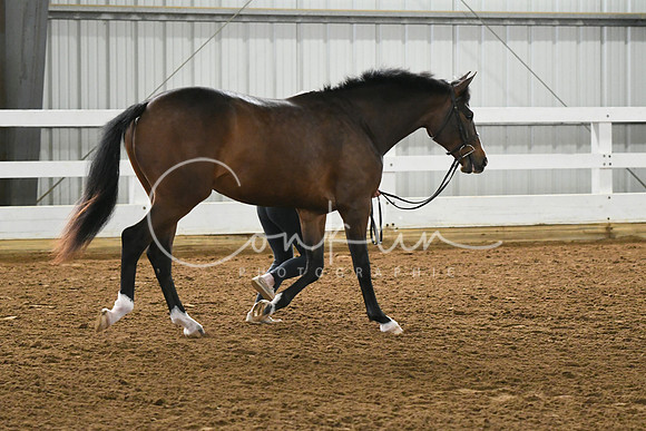 HSM_3738