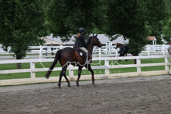 RJC37551