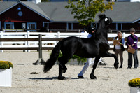 HSM_4713