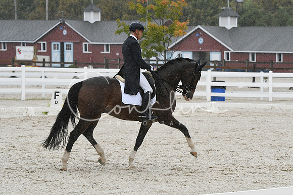 HSM_0735