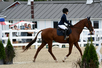 HSM_2972