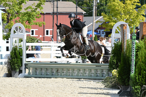 HSM_6279