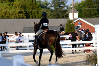 HSM_0259-1