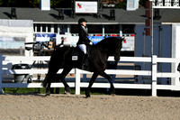 HSM_4294