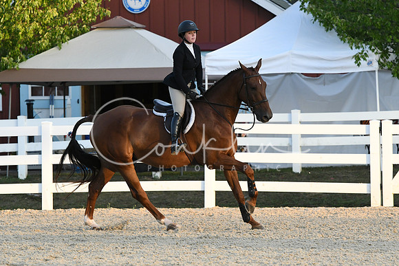 HSM_0330