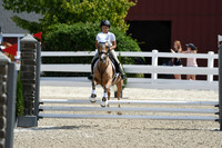 HSM_2053