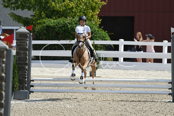 HSM_2053