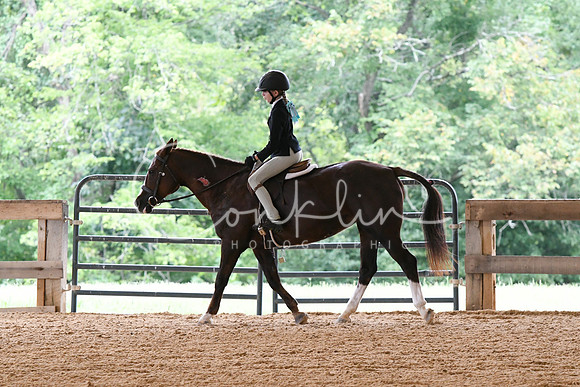 HSM_1408