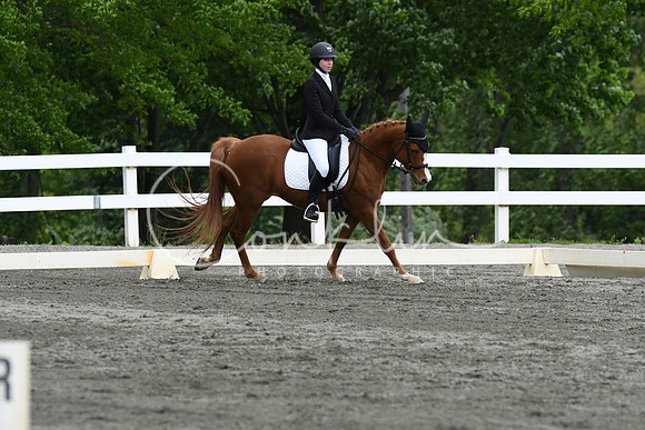 HSM_0627