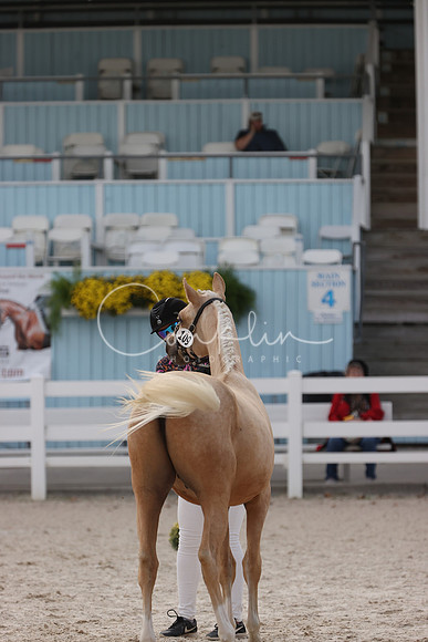 RJC32444