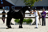 HSM_4701