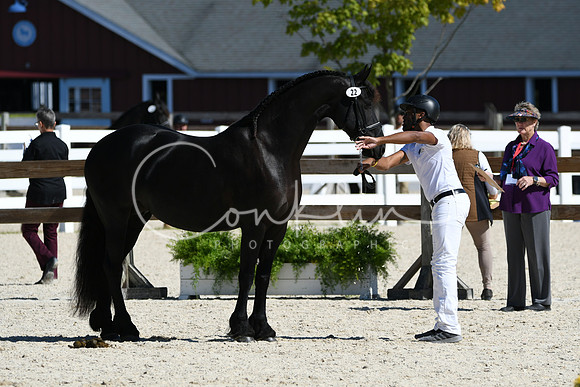 HSM_4701