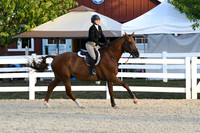 HSM_0310