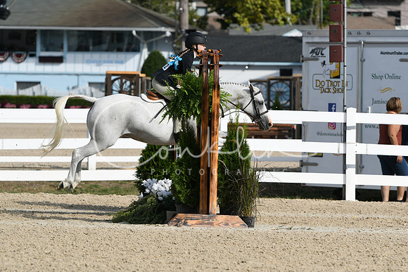 HSM_5827