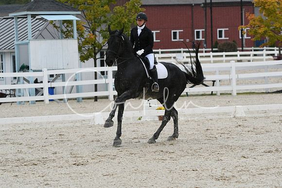 HSM_0454