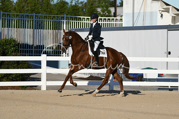 HSM_4262