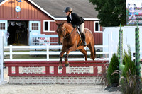 HSM_0334