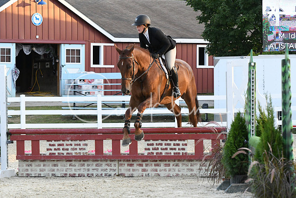 HSM_0334