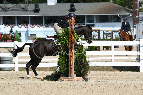 HSM_6282