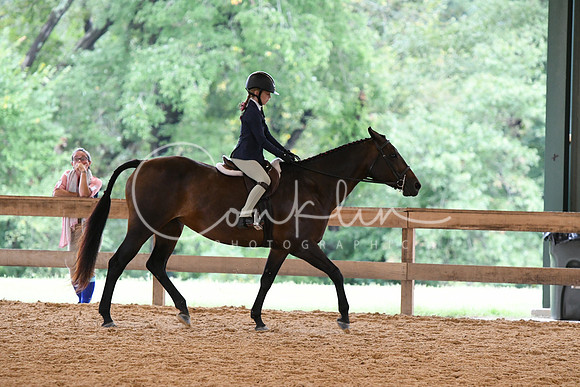 HSM_6354