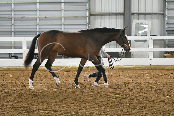 HSM_3735