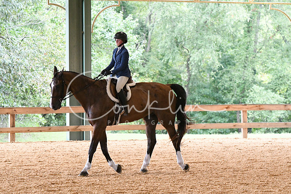 HSM_1471