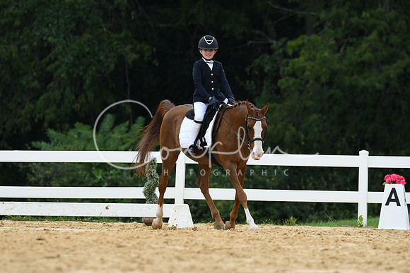 HSM_0226