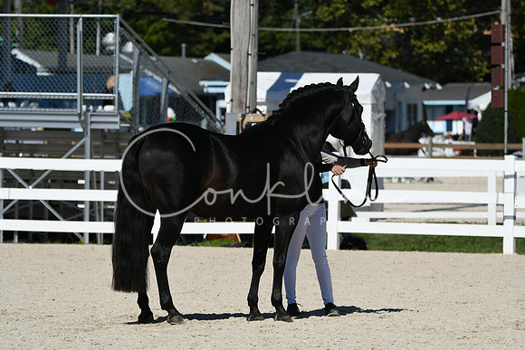 HSM_4640