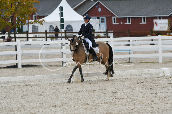 HSM_0251