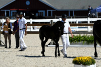 HSM_4689