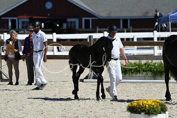 HSM_4689