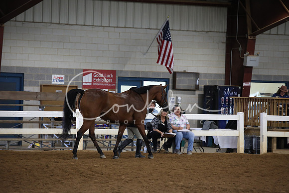BW181975