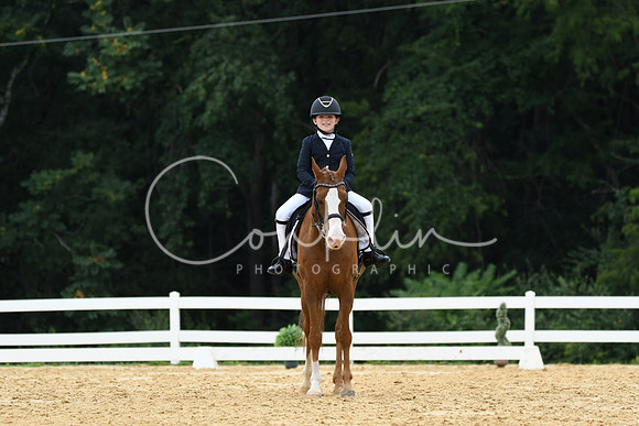 HSM_0229