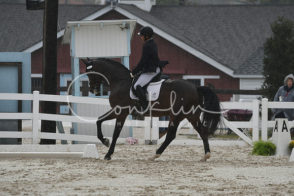 HSM_8131
