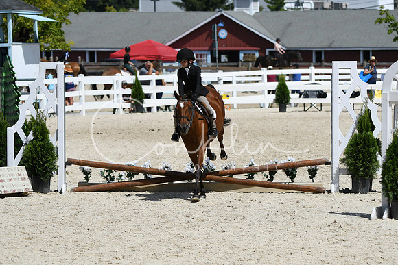 HSM_2991