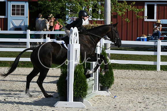 HSM_4307