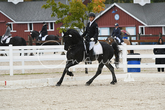 HSM_0193