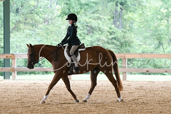 HSM_1451