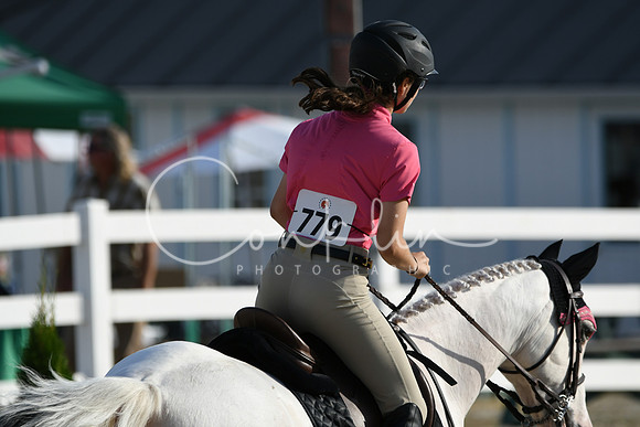 HSM_1263