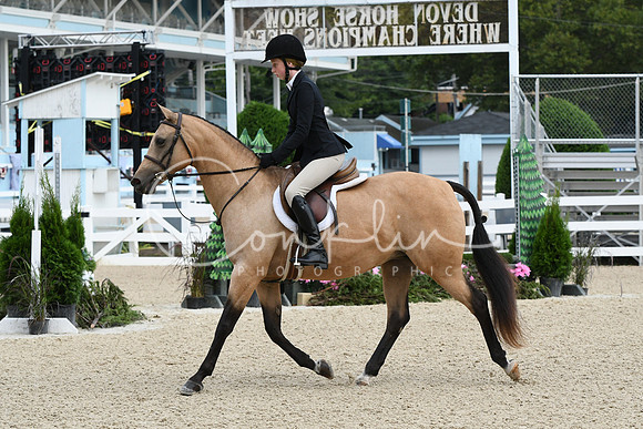 HSM_5206