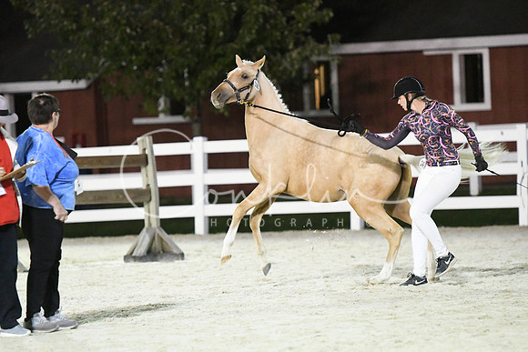 HSM_5883