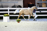 HSM_5880
