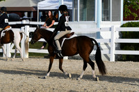 HSM_4535