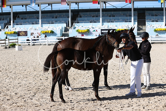 RJC37190