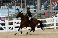 HSM_2627