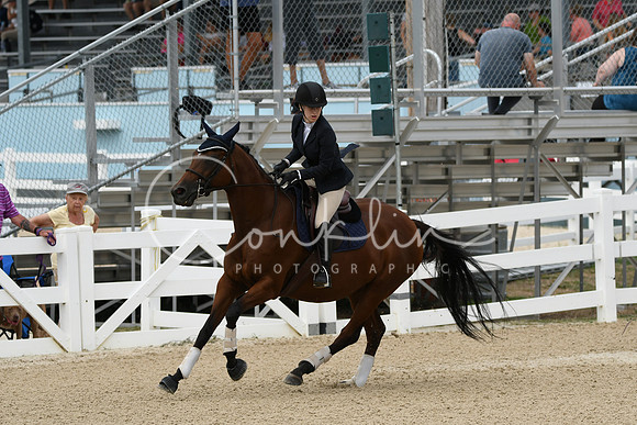 HSM_2627