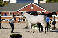 HSM_5541