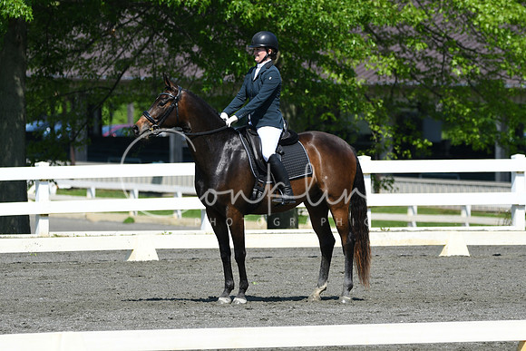 HSM_1181