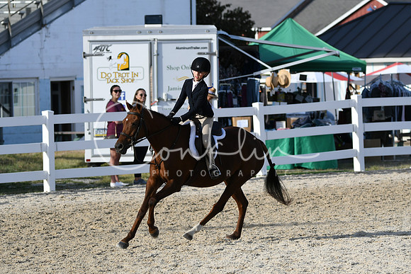 HSM_4354