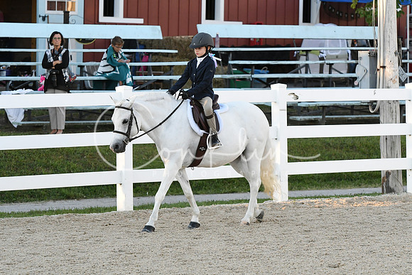 HSM_1611